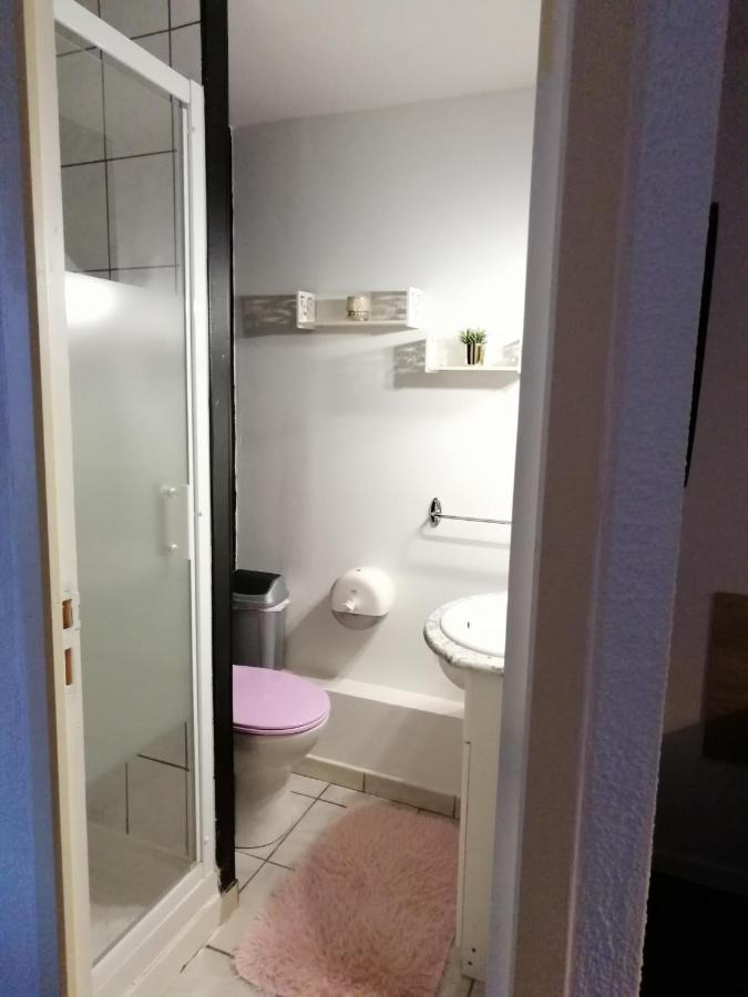 Hotel Sainte Therese ルルド エクステリア 写真